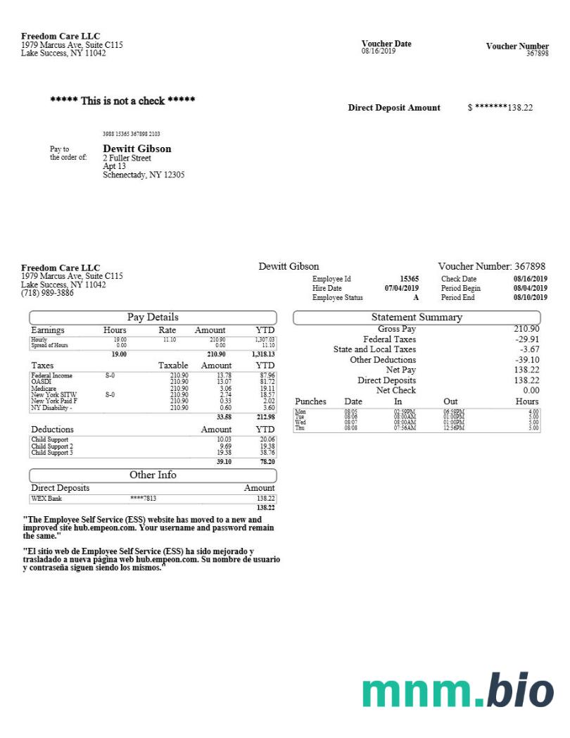 Freedom Care LLC pay stub template w formatach Word i PDF